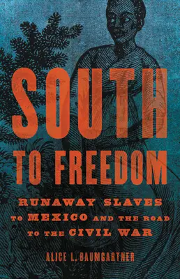 Na juh k slobode: Útek otrokov do Mexika a cesta k občianskej vojne - South to Freedom: Runaway Slaves to Mexico and the Road to the Civil War