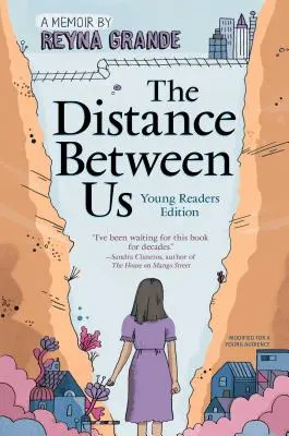 Vzdialenosť medzi nami: Vydanie pre mladých čitateľov - The Distance Between Us: Young Readers Edition
