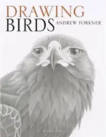Kreslenie vtákov - Drawing Birds