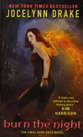 Burn the Night (Spáľ noc): Posledný román o temných dňoch - Burn the Night: The Final Dark Days Novel