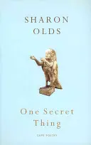 Jedna tajná vec - One Secret Thing
