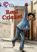 Skutočný kriket - Real Cricket