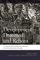 Vývoj Utopený a znovuzrodený: Blues a bourbonská reštaurácia v New Orleans po Katrine - Development Drowned and Reborn: The Blues and Bourbon Restorations in Post-Katrina New Orleans