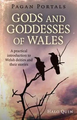 Pohanské portály - Bohovia a bohyne Walesu: Praktický úvod do waleských božstiev a ich príbehov - Pagan Portals - Gods and Goddesses of Wales: A Practical Introduction to Welsh Deities and Their Stories