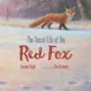 Tajný život červenej líšky - The Secret Life of the Red Fox