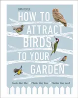 Ako prilákať vtáky do záhrady - Potraviny, ktoré majú radi, rastliny, ktoré milujú, úkryt, ktorý potrebujú - How to Attract Birds to Your Garden - Foods they like, plants they love, shelter they need