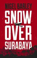 Sneh nad Surabayou - Snow Over Surabaya