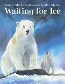 Čakanie na ľad - Waiting for Ice