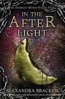 Román o najtemnejších mysliach: In the Afterlight - kniha 3 - A Darkest Minds Novel: In the Afterlight - Book 3