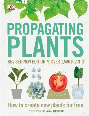 Rozmnožovanie rastlín: Ako vytvoriť nové rastliny zadarmo - Propagating Plants: How to Create New Plants for Free