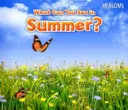 Čo môžete vidieť v lete? - What Can You See In Summer?