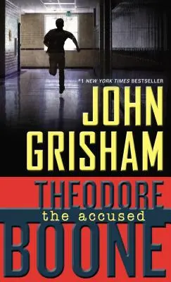 Theodore Boone: Obvinený - Theodore Boone: The Accused