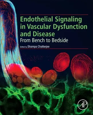 Endotelová signalizácia v cievnej dysfunkcii a ochoreniach: Od stolu k lôžku pacienta - Endothelial Signaling in Vascular Dysfunction and Disease: From Bench to Bedside