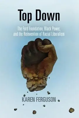Odhora nadol: Fordova nadácia, Black Power a vynájdenie rasového liberalizmu - Top Down: The Ford Foundation, Black Power, and the Reinvention of Racial Liberalism