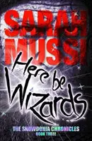 Here be Wizards - The Snowdonia Chronicles: The Snowdonia Chronicles: Kniha tretia - Here be Wizards - The Snowdonia Chronicles: Book Three