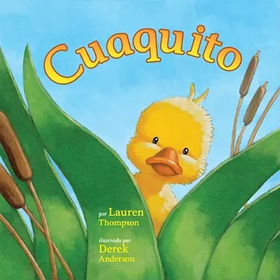 Cuaquito (Malý kvák) - Cuaquito (Little Quack)