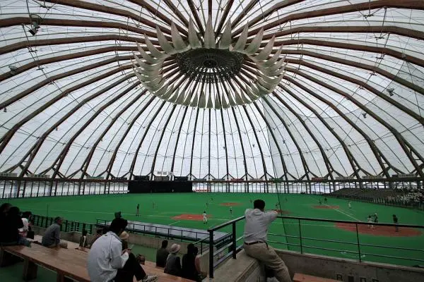 Štruktúrované línie: Učenie sa z japonského konštrukčného dizajnu - Structured Lineages: Learning from Japanese Structural Design