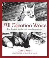 Celé stvorenie čaká: Adventné tajomstvo nových začiatkov - All Creation Waits: The Advent Mystery of New Beginnings
