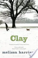 Hlina - Clay