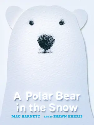 Ľadový medveď na snehu - A Polar Bear in the Snow