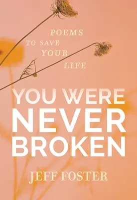 Nikdy si nebol zlomený: Básne na záchranu vášho života - You Were Never Broken: Poems to Save Your Life