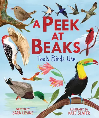 A Peek at Beaks: Nástroje, ktoré vtáky používajú - A Peek at Beaks: Tools Birds Use