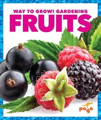 Ovocie - Fruits