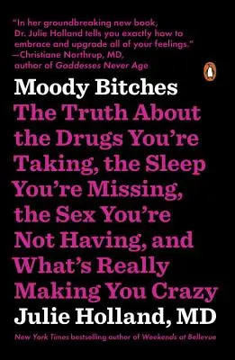 Náladové mrchy: Pravda o drogách, ktoré beriete, o spánku, ktorý vám chýba, o sexe, ktorý nemáte, a o tom, čo vás skutočne robí - Moody Bitches: The Truth about the Drugs You're Taking, the Sleep You're Missing, the Sex You're Not Having, and What's Really Making