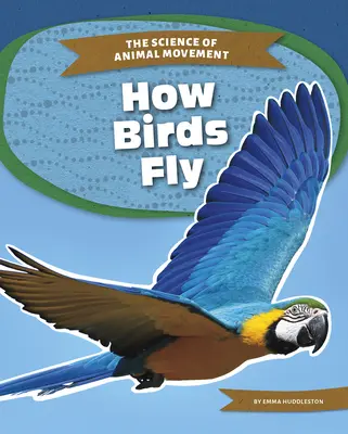 Ako lietajú vtáky - How Birds Fly