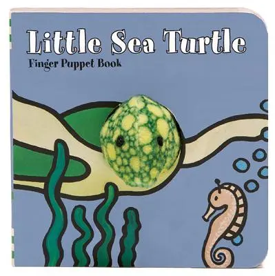 Malá morská korytnačka - Little Sea Turtle