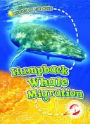 Migrácia veľrýb hrbatých - Humpback Whale Migration