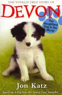 Úplne pravdivý príbeh Devona, najnezbednejšieho psa na svete (Katz Jon (Autor)) - Totally True Story of Devon The Naughtiest Dog in the World (Katz Jon (Author))