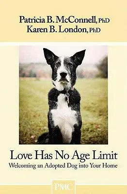 Láska nemá vekovú hranicu: Privítanie adoptovaného psa vo vašom dome - Love Has No Age Limit: Welcoming an Adopted Dog Into Your Home