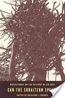 Can the Subaltern Speak?: Úvahy o dejinách jednej myšlienky - Can the Subaltern Speak?: Reflections on the History of an Idea