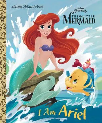 Ja som Ariel (Disneyho princezná) - I Am Ariel (Disney Princess)