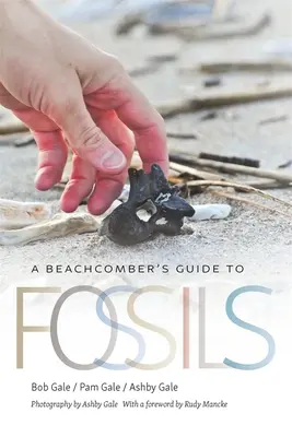 Sprievodca plážového cestovateľa po skamenelinách - A Beachcomber's Guide to Fossils