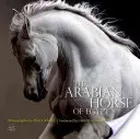 Arabský kôň z Egypta - The Arabian Horse of Egypt
