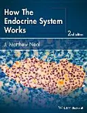 Ako funguje endokrinný systém - How the Endocrine System Works