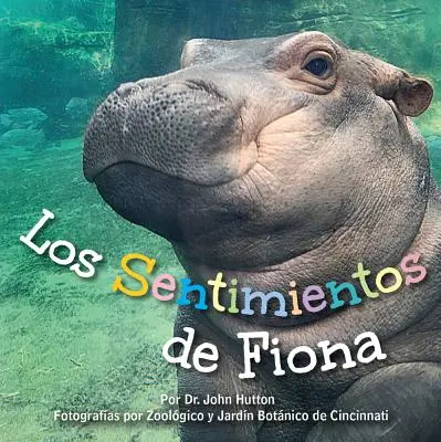 Los Sentimientos de Fiona = Fionine pocity - Los Sentimientos de Fiona = Fiona's Feelings