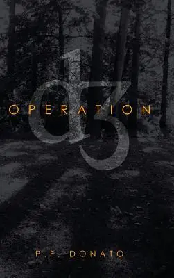 Operácia D3 - Operation D3