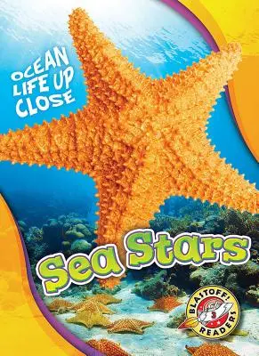 Morské hviezdy - Sea Stars
