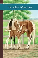 Stajňa Sonrise: Tender Mercies - Sonrise Stable: Tender Mercies