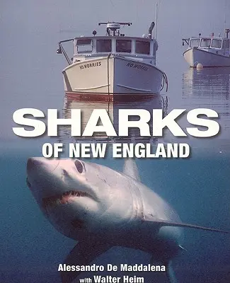 Žraloky Nového Anglicka - Sharks of New England