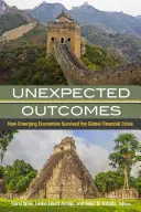 Neočakávané výsledky: Ako rozvíjajúce sa ekonomiky prežili globálnu finančnú krízu - Unexpected Outcomes: How Emerging Economies Survived the Global Financial Crisis