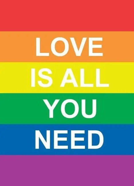 Láska je všetko, čo potrebuješ - Love Is All You Need
