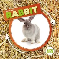 Králik - Rabbit