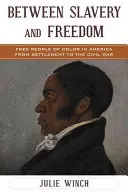 Medzi otroctvom a slobodou: Slobodní farební ľudia v Amerike od osídlenia po občiansku vojnu - Between Slavery and Freedom: Free People of Color in America From Settlement to the Civil War