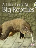 Klub chrobákov Vedená literatúra faktu 1. ročník Modrá B Malý pohľad na veľké plazy - Bug Club Guided Non Fiction Year 1 Blue B A Little Look at Big Reptiles