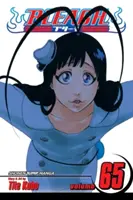 Bleach, zv. 65, 65 - Bleach, Vol. 65, 65