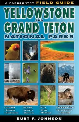 Terénny sprievodca po národných parkoch Yellowstone a Grand Teton - The Field Guide to Yellowstone and Grand Teton National Parks